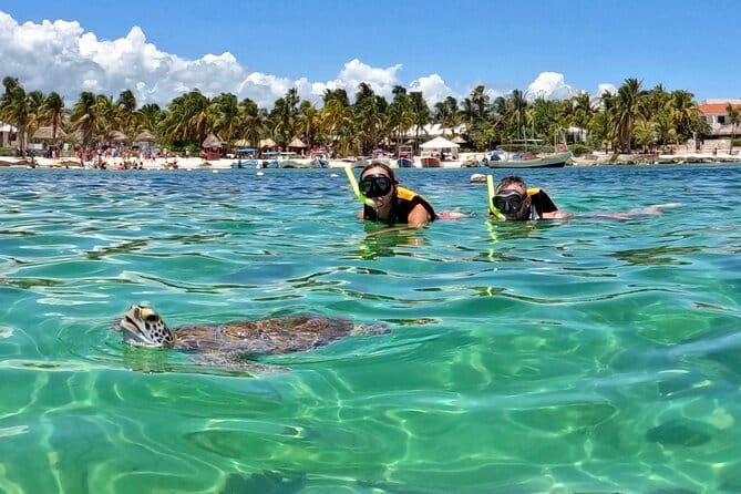 Akumal Tulum + Nado con Tortugas