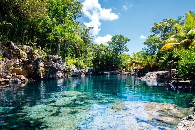 Tulum Cenote Casa Tortuga + Quinta Avenida