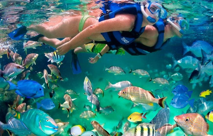 Paquete Xcaret Plus + Xelha + Hospedaje