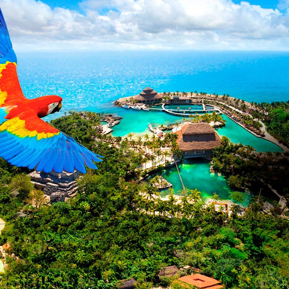 Xcaret Plus + Xelha + Xenses