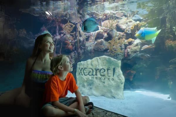 Xcaret Plus + Xplor Día + Xelha