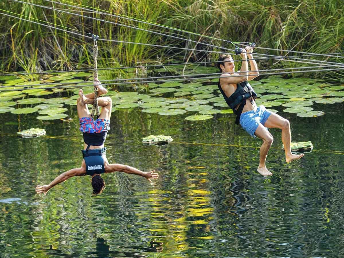 Xenotes